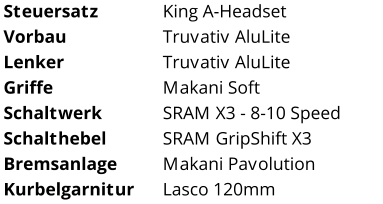 Steuersatz King A-Headset Vorbau Truvativ AluLite Lenker Truvativ AluLite Griffe Makani Soft Schaltwerk SRAM X3 - 8-10 Speed Schalthebel SRAM GripShift X3 Bremsanlage Makani Pavolution Kurbelgarnitur Lasco 120mm