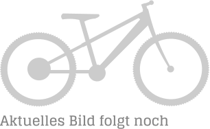 Aktuelles Bild folgt noch